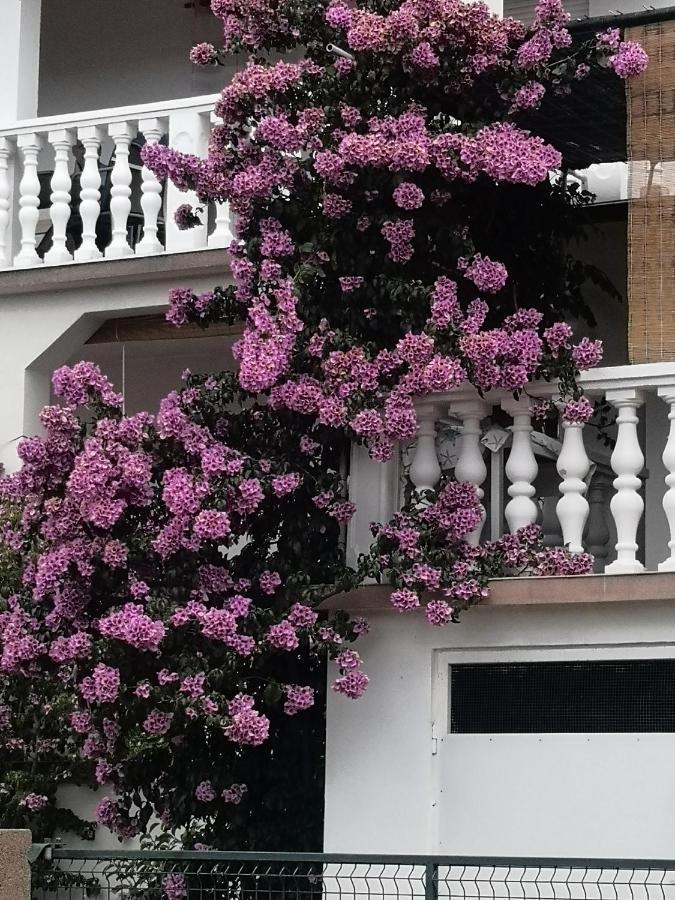Apartment Ana Gornji Karin Exterior foto