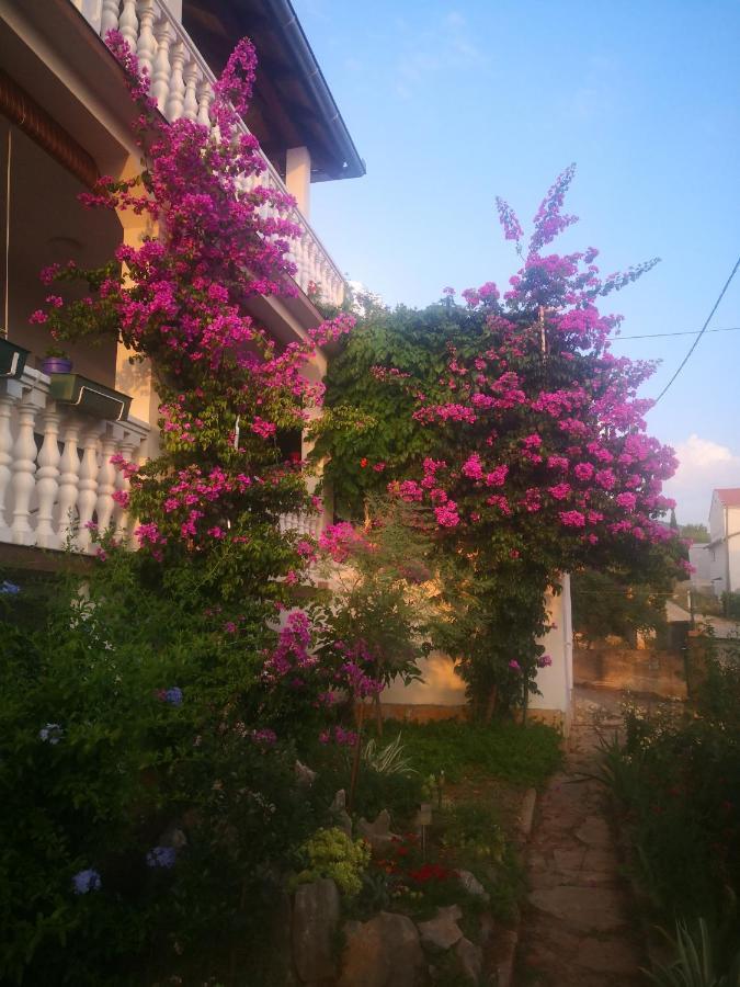 Apartment Ana Gornji Karin Exterior foto