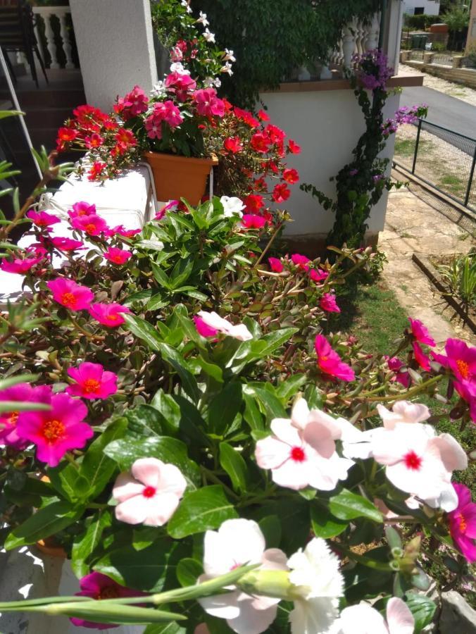 Apartment Ana Gornji Karin Exterior foto